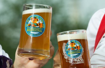 Drinking beer can slash the risk of dementia