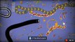 wormate io game play/worms zone game/ gaming video/ruhi Crafts and DIY  #wormate #gameplay