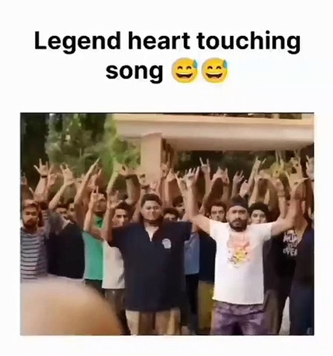 Funny videos