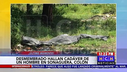 Encuentran cuerpo desmembrado en Sonaguera,Colon