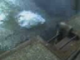 saut de la mort qui tue