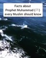 Facts about PROPHET MUHAMMAD SALLALLAHU ALAIHI WASALLAM