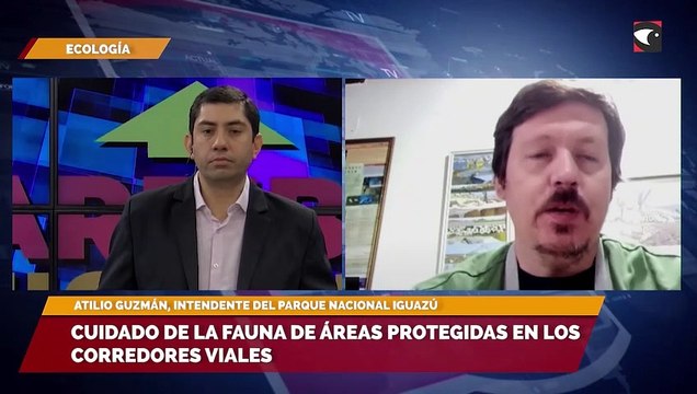 Cuidado de la fauna de áreas protegidas en los corredores viales