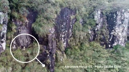 Cachorros à beira de penhasco de 200 metros têm resgate radical em SC