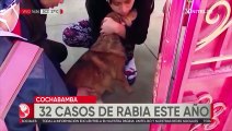 Cochabamba: De 32 casos de rabia canina y felina, 30 son mascotas con dueño
