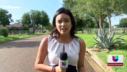 Noticias Univision 48 a las 5