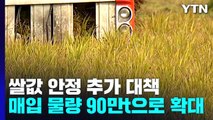 공공비축미 포함 매입 물량 90만 톤으로 확대 / YTN