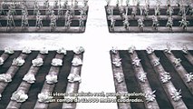 Noumin Kanren no Skill bakka Agetetara Nazeka Tsuyoku Natta capitulo 1 sub español