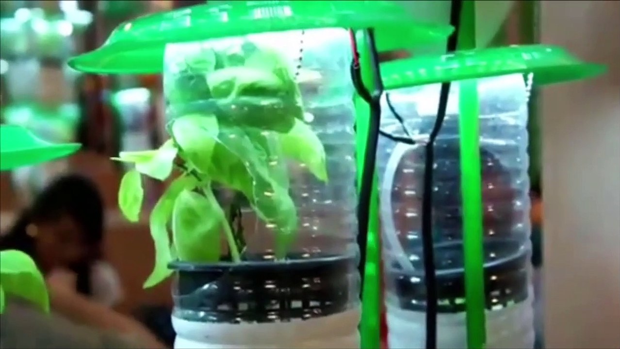 Homemade Hydroponic System with Reused Plastic Bottle 2019