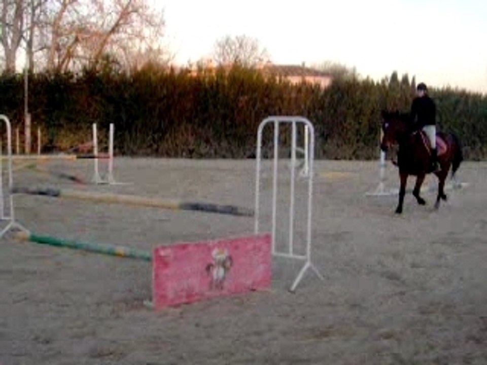 HPIM4816