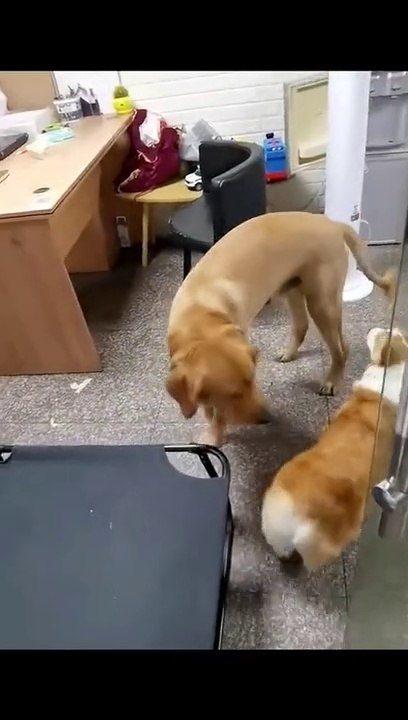 internet Fights vs Real life. 