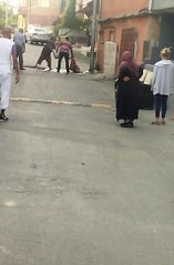 Alev alev yanan piknik tüpüne tehlikeli müdahale kamerada