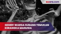 Geger! Warga Subang Temukan Kerangka Manusia di Eks Lahan Perkebunan Tebu