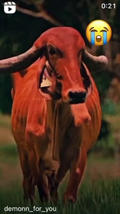 Kya Apko Bhi Esa Lagta h Ki Apke Sath Galt Ho Raha Hai To Ek Baar is Video Ko jarur Dekhe