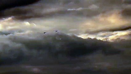 Aviões chocam enquanto faziam acrobacias e acabam por cair. Veja o vídeo