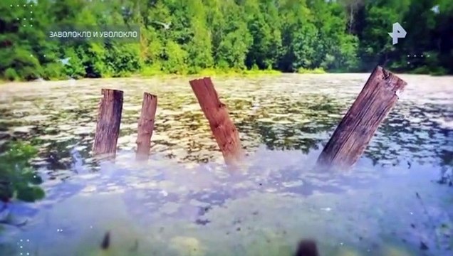 Тайны Чапман (27.09.2022)