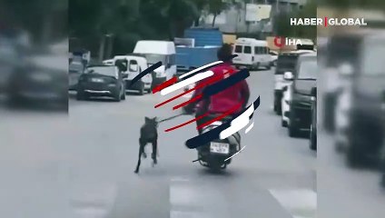 İstanbul'da tepki çeken görüntüler! Köpeği motosikletle dakikalarca koşturdu