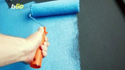 42% of People Would Never Paint Their Walls This Color