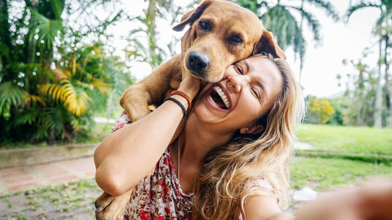 Die perfekten 'Wingpups': Welche Hunderassen ziehen bei Tinder?