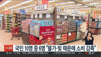 국민 10명 중 6명 "물가·빚 때문에 소비 감축"