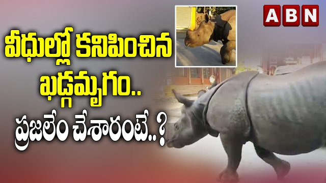 Viral Video : విధుల్లో కనిపించిన ఖడ్గ మృగం || Rhino wanders on road In Nepal || ABN Digital