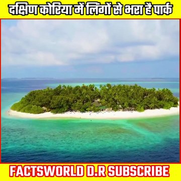 दक्षिण कोरिया में लिंगों से भरा है पार्क facts,amazing facts,interesting facts,random facts,mind blowing facts,fun facts,science facts,world facts,most amazing facts,facts in hindi,new facts,facts video,funny facts,facts in tamil,unknown facts,facts new v