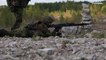 Estonie : exercices de préparation à la défense pour 3 000 réservistes