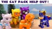 Paw Patrol Mighty Pups Get Help From The Cat Pack In This Rescue Story Toy Cartoon for Kids