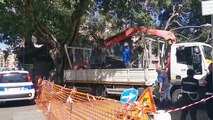 Palermo, alberi crollati per il maltempo: mercato delle pulci chiuso