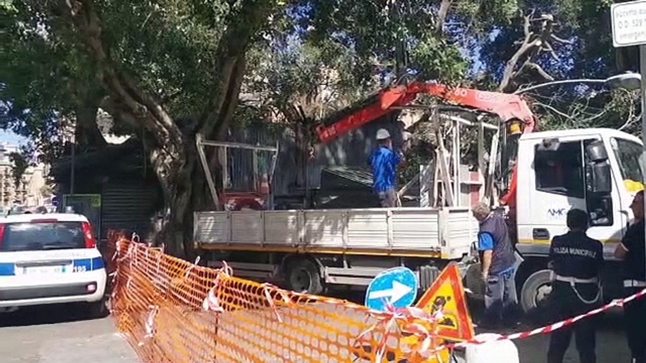 Palermo, alberi crollati per il maltempo: mercato delle pulci chiuso