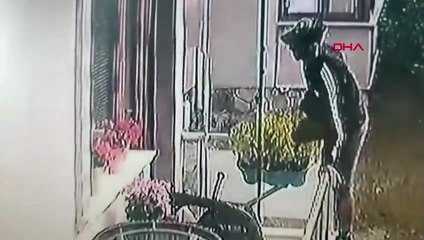 Villalara giren hırsız kameraya yakalandı