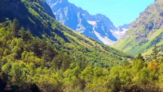 RESTAURATION DU SYSTÈME NERVEUX Musique douce, apaise le système nerveux et fait plaisir à l'âme