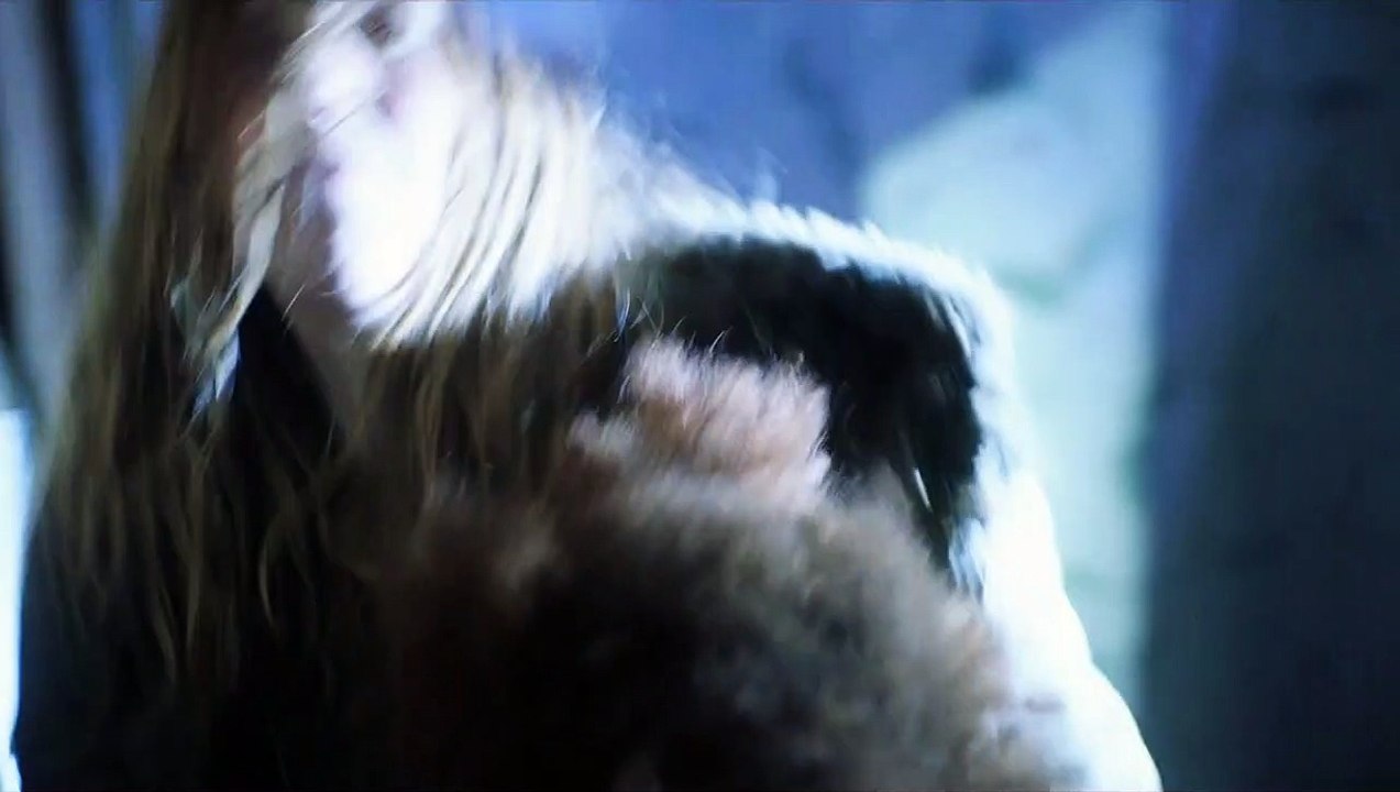 Topside - Flucht ins Ungewisse Trailer DF