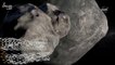 Mission Accomplished! NASA’s DART Spacecraft Successfully Smashes Into Asteroid Dimorphos