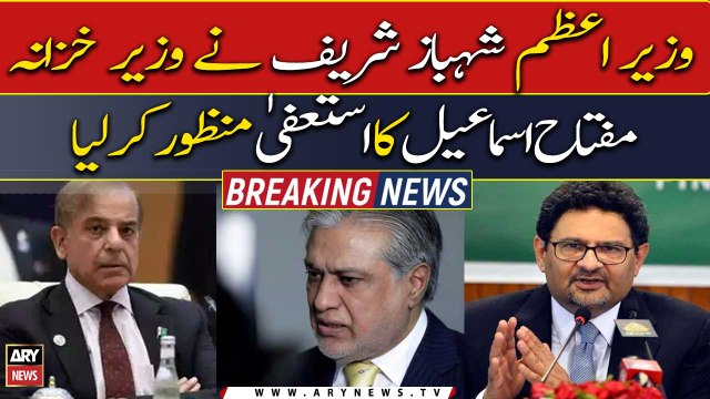 PM Shehbaz Sharif accepts Finance Minister Miftah Ismail's resignation