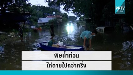 ชาวบ้าน โอด พิษน้ำท่วม ไก่ตายไปกว่าครึ่ง | เข้มข่าวค่ำ | 27 ก.ย. 65