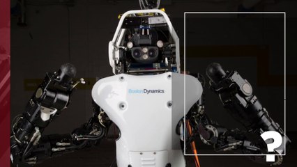 TESLA building TESLA BOT | What is TESLA BOT | TESLA Robot Update