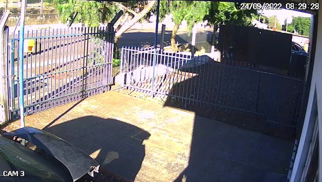 Loja de autopeças é alvo de criminosos em Cascavel; até um cão Rottweiler foi levado