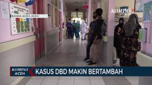 Kasus DBD Makin Bertambah di Kota Banda Aceh