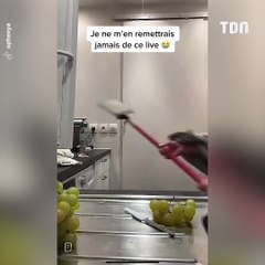 En voyant une petite bête dans sa cuisine, elle devient totalement folle