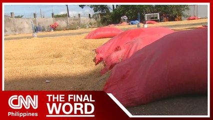 Karding leaves trail of destruction in 'rice granary' of PH