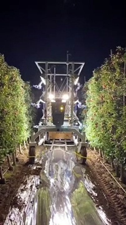 Ce robot géant cueille les pommes