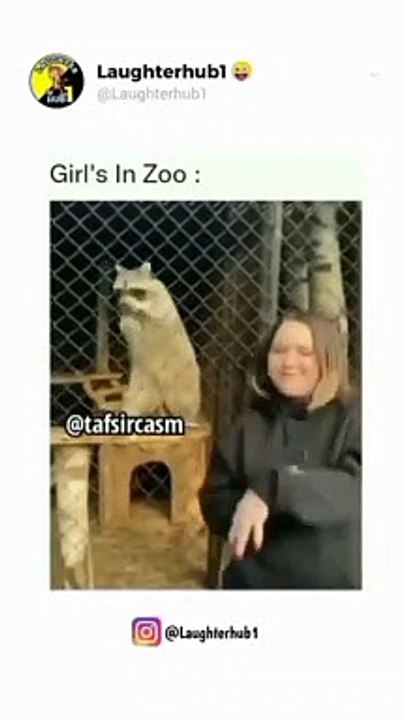 Girls in zoo vs boys in zoo