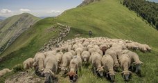 Cette femme de 23 ans vit seule sans eau, réseau ni électricité et s'occupe de 700 brebis dans les Pyrénées