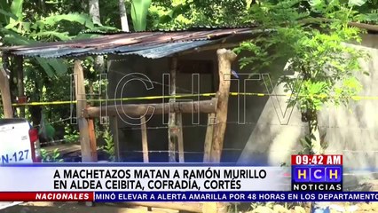 Con machete ultiman a hombre en hacienda de Cofradía, Cortés