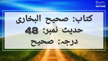 Sahih Bukhari Hadees No.48 _ Hadees Nabvi in Urdu _ Bukhari Hadees _ Bukhari Shareef in Urdu