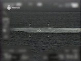 Imagens aéreas mostram fuga de gás dos gasodutos no Mar Báltico