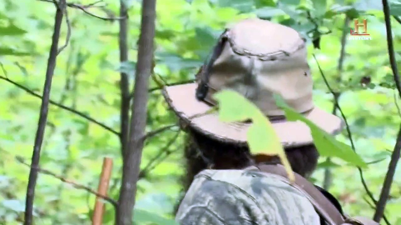 Appalachian Outlaws - Im Ginsengrausch Staffel 1 Folge 1 HD Deutsch