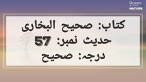 Sahih Bukhari Hadees No.57 _ Hadees Nabvi in Urdu _ Bukhari Hadees _ Bukhari Shareef in Urdu