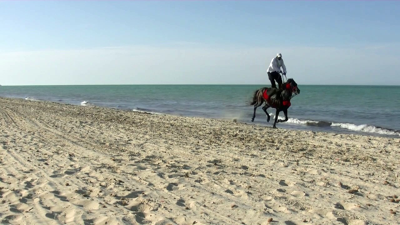 Horse riding on beach